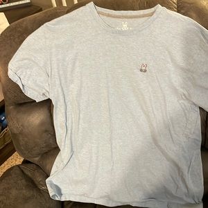 Light blue with tint of gray